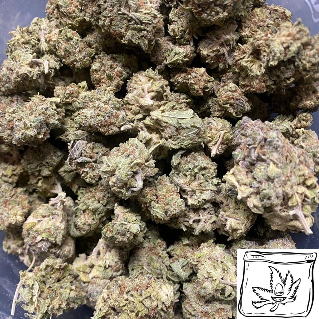 Blueberry Cookies Cheap Weed Canada Buyweedpacks