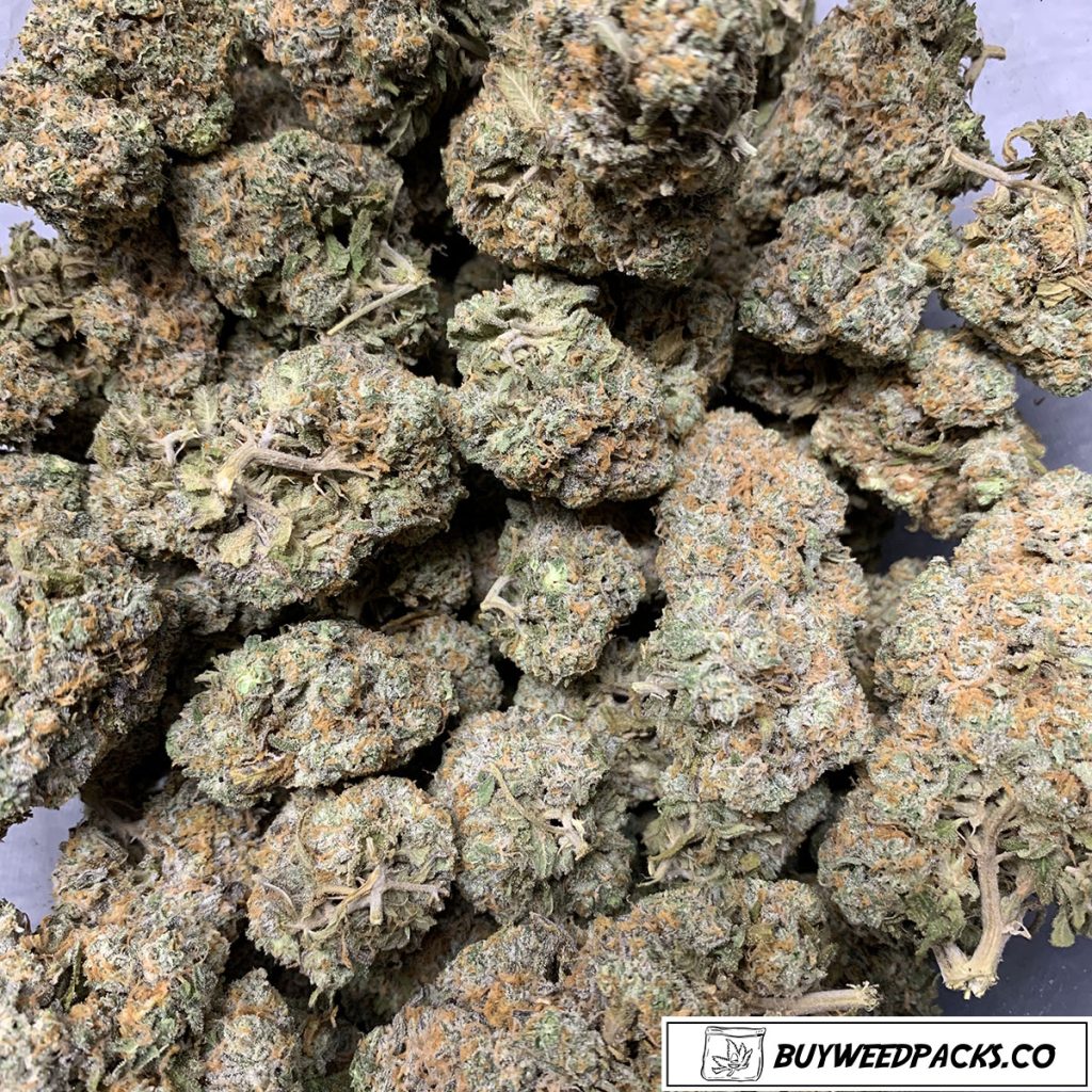 Bubblegum Kush - Cheap Weed Canada - Buyweedpacks