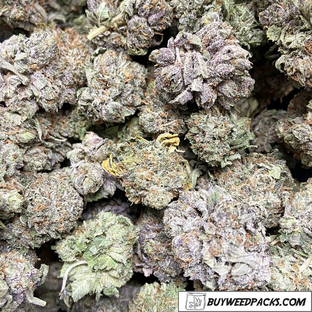 Platinum Purple Kush Online Dispensary Canada Buyweedpacks