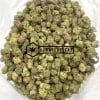 Popcorn - Brownie Scout 1