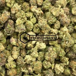 Popcorn - Brownie Scout 1