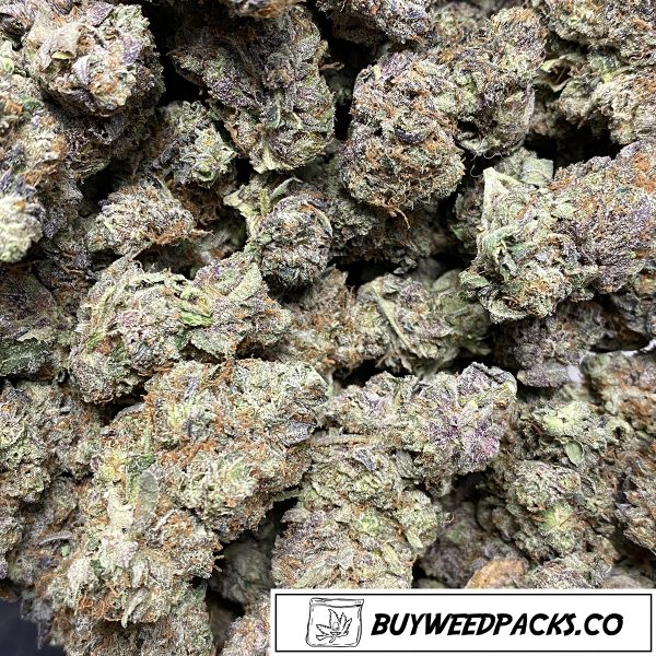 Popcorn - Brownie Scout Wholesale