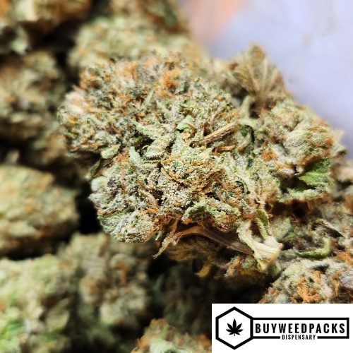 Jedi Kush - Online Dispensary Canada | Buyweedpacks