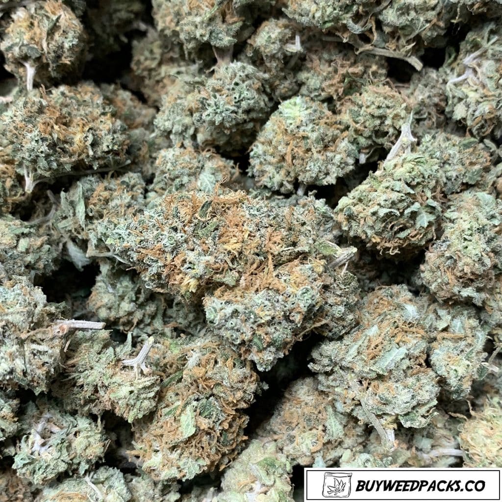 Berry Pie Online Dispensary Canada Buyweedpacks