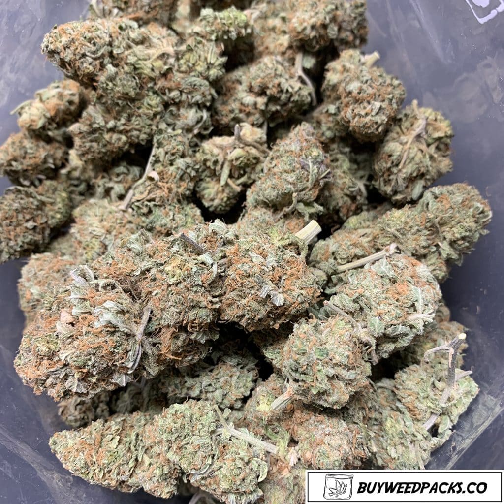 Citrus Haze Online Dispensary Canada Buyweedpacks