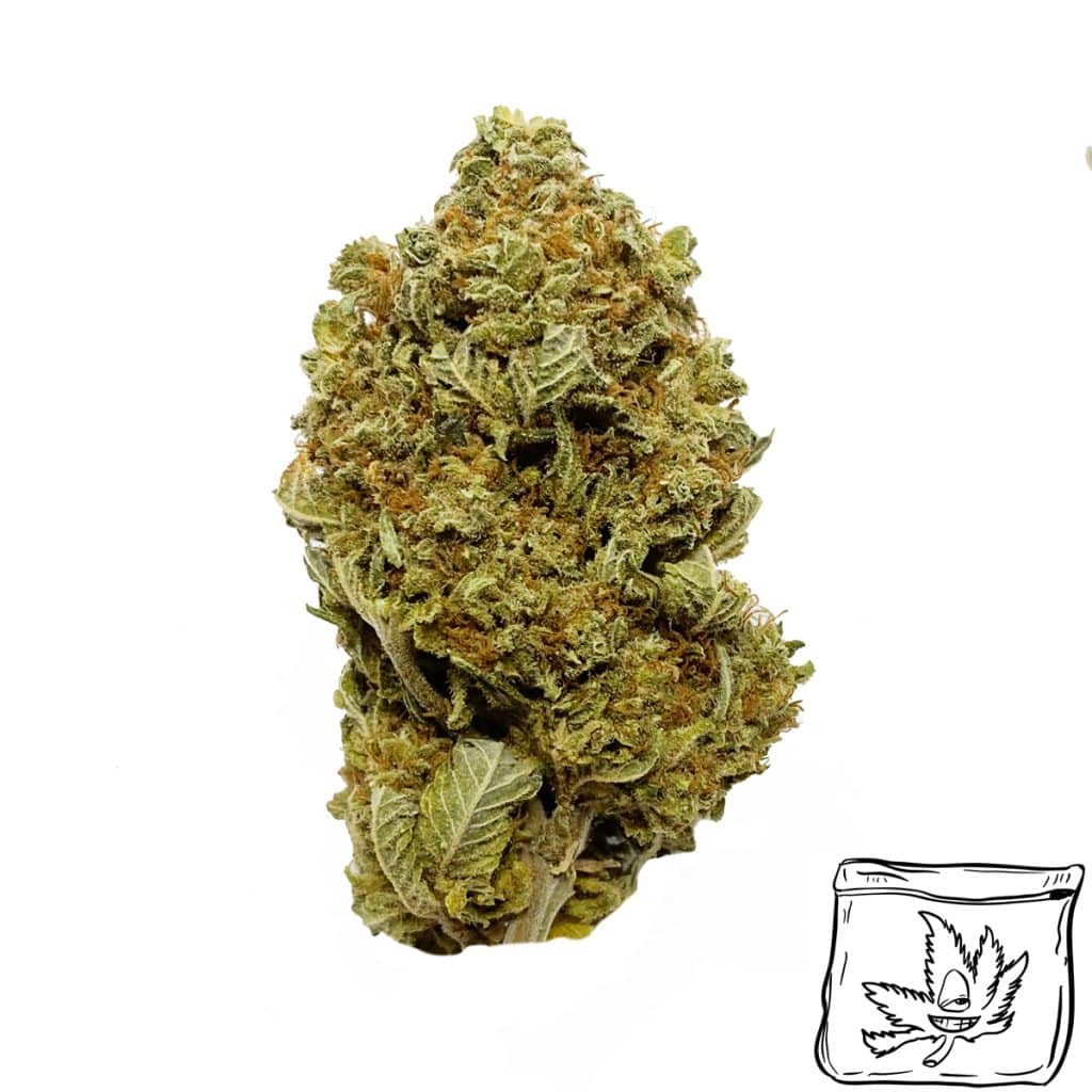 Critical Jack Online Dispensary Canada Buyweedpacks