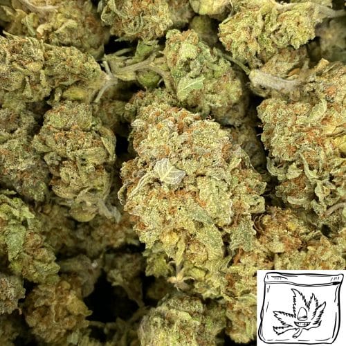 Critical Jack Online Dispensary Canada Buyweedpacks