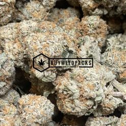 Gelato #45 - Online Dispensary Canada - Buyweedpacks