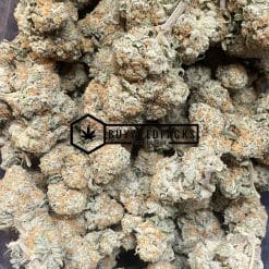 Gelato #45 - Online Dispensary Canada - Buyweedpacks