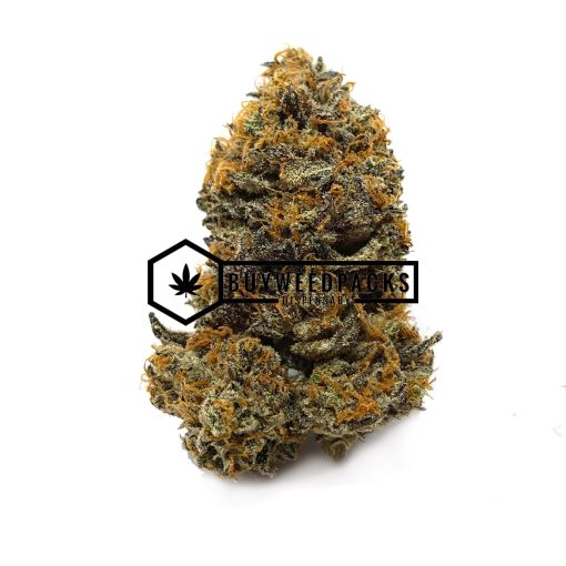 Black Tuna - Buy Weed Online - Buyweedpacks