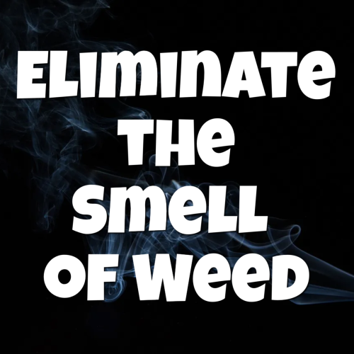 How To Eliminate The Smell of Weed
