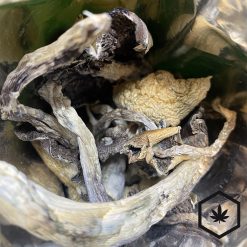 Mexicano Magic Mushrooms Strain