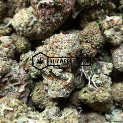 Caked Cactus - Buy Weed Online - Buyweedpacks