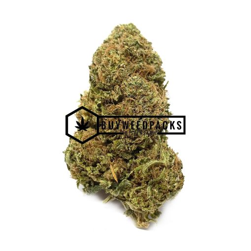 Caked Cactus - Buy Weed Online - Buyweedpacks