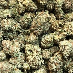 Budget Buds - Tahoe OG - Buy Weed Online - BuyWeedPacks
