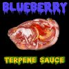 Blueberry Terp Sauce | Online Dispensary Canada | Buyweedpacks