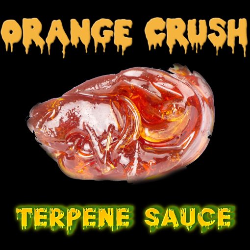 Orange Crush Terpene Sauce | Online Dispensary Canada | Buyweedpacks