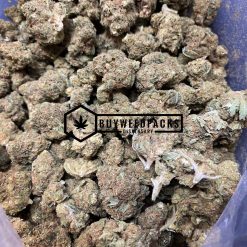 Moby Dick - Mail Order Marijuana - Buyweedpacks