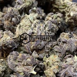 Purple Berry - Buy Weed Online - Buyweedpacks