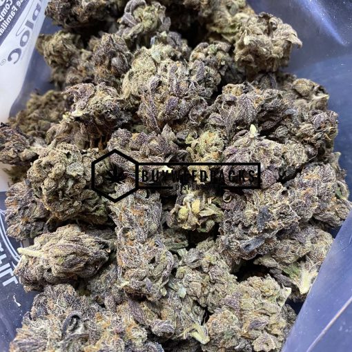 Purple Berry - Mail Order Weed - Buyweedpacks
