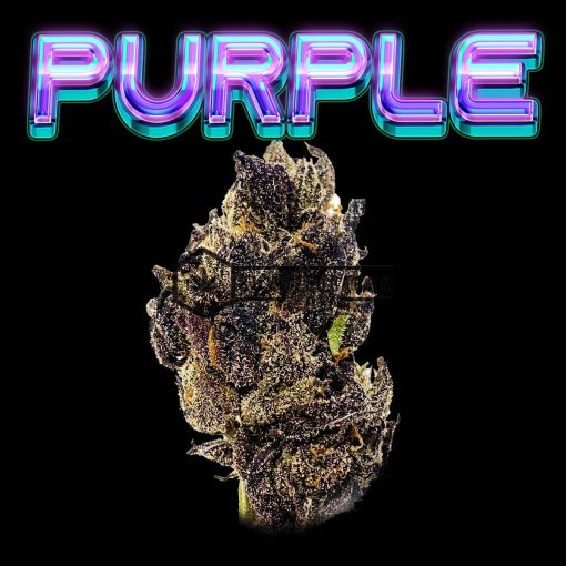 Purple Berry - Online Dispensary Canada - Buyweedpacks