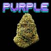 Purple Runtz - Online Dispensary Canada - Buyweedpacks