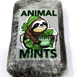 Animal Mints Hash - Online Dispensary Canada - Buyweedpacks