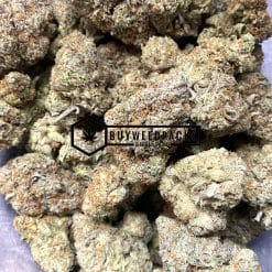 Key Lime Pie - Online Dispensary Canada - Buyweedpacks