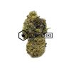 Tropic Truffle - Buy Weed Online - Buyweedpacks