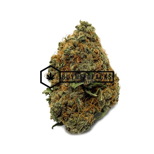 Dutch Treat - Buy Weed Online - Buyweedpacks