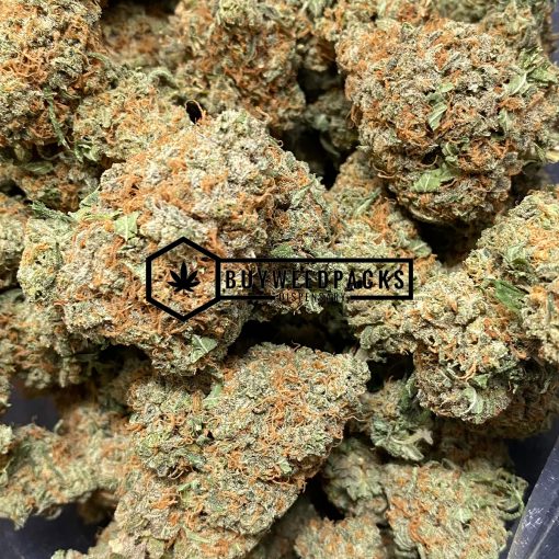 Dutch Treat - Buy Weed Online - Buyweedpacks