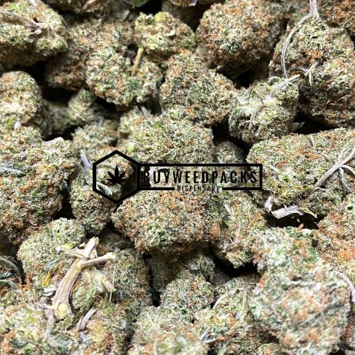 Girl Scout Cookies - Buy Weed Online - Buyweedpacks