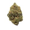 Harlequin - Buy Weed Online - Buyweedpacks