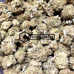 Lemon Alien Dawg - Buy Weed Online - Buyweedpacks