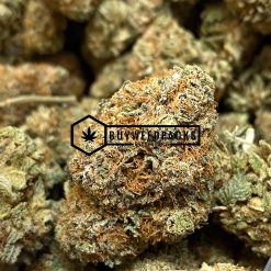 Purple Diesel - Buy Weed Online - Buyweedpacks