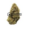 Sour Cheese - Buy Weed Online - Buyweedpacks