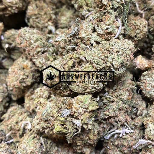 Sour Cheese - Buy Weed Online - Buyweedpacks