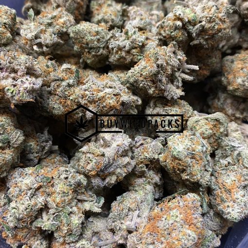 White Tahoe Cookies - Buy Weed Online - Buyweedpacks