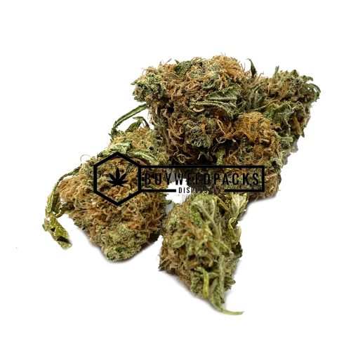 Amnesia Haze - Buy Weed Online - Buyweedpacks