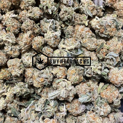 Berry Gelato - Buy Weed Online - Buyweedpacks