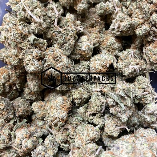 Super Northern Haze - Buy Weed Online - Buyweedpacks