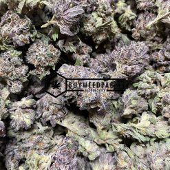 Black Jack - Buy Weed Online - Buyweedpacks