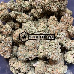 Blue Cookies - Buy Weed Online - Buyweedpacks