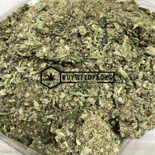 Blueberry Cookies Shake Weed - Buy Weed Online - Buyweedpacks