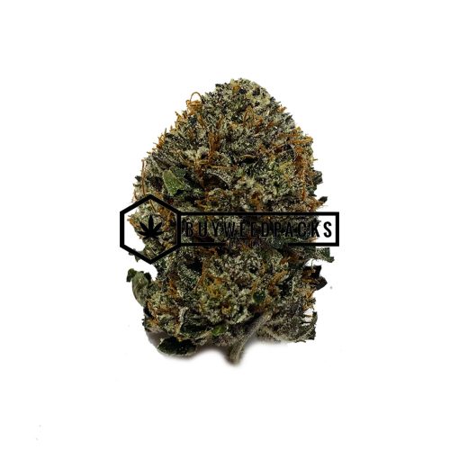 Brownie Scout - Buy Weed Online - Buyweedpacks