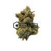 Critical Jack - Buy Weed Online - Buyweedpacks