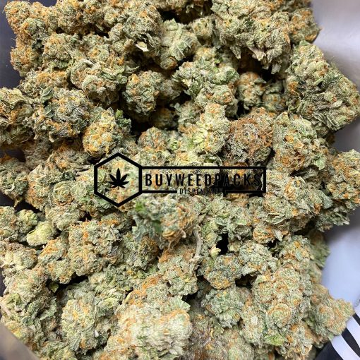 Critical Jack - Buy Weed Online - Buyweedpacks