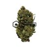 Dank Schrader - Buy Weed Online - Buyweedpacks