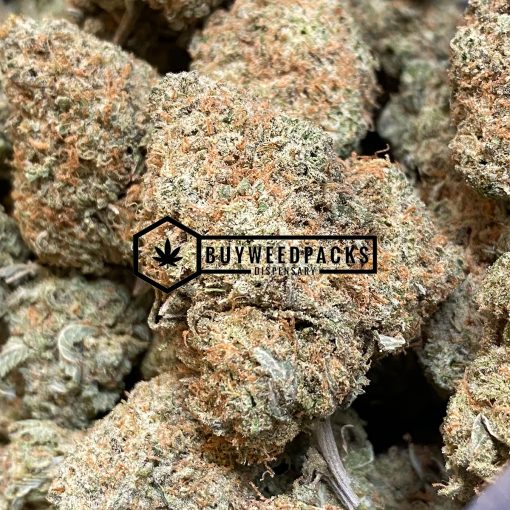 Girl Scout Cookies - Buy Weed Online - Buyweedpacks