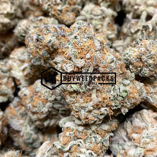 Meatbreath - Buy Weed Online - Buyweedpacks